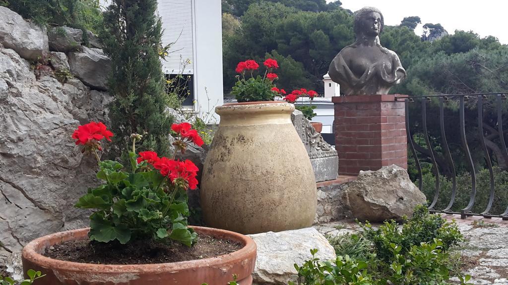 Casa Del Solitario Capri Ngoại thất bức ảnh
